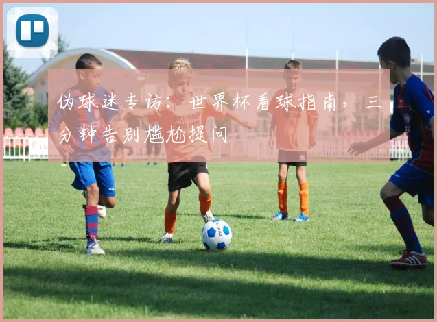 伪球迷专访：世界杯看球指南，三分钟告别尴尬提问