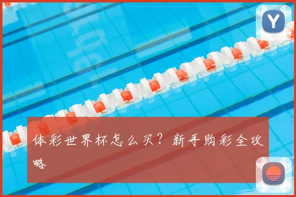 体彩世界杯怎么买？新手购彩全攻略