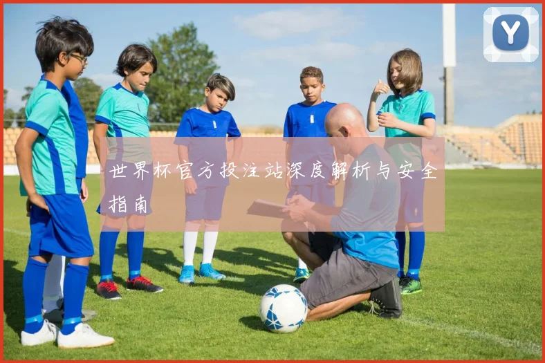 世界杯官方投注站深度解析与安全指南
